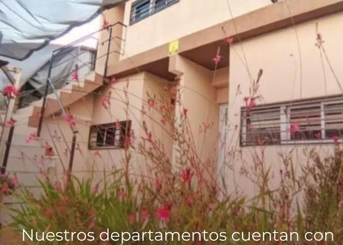 Bienestar Federacion Zona Centro